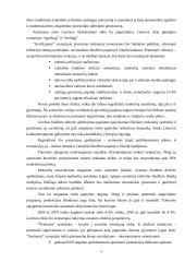 Respublikos ekonominės problemos. Informacija vadyboje. Investicijos 4 puslapis