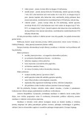 Respublikos ekonominės problemos. Informacija vadyboje. Investicijos 10 puslapis