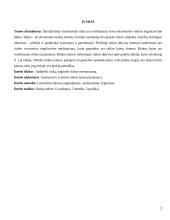 Rinka ir jos mechanizmas 3 puslapis