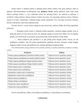 Rinka ir jos mechanizmas 6 puslapis