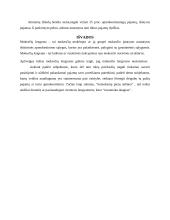 GPM lengvatų analizė 11 puslapis