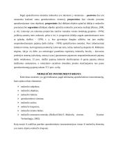 GPM lengvatų analizė 4 puslapis