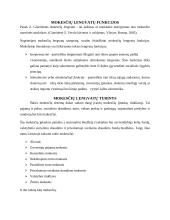 GPM lengvatų analizė 5 puslapis