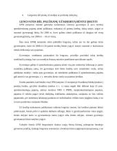GPM lengvatų analizė 8 puslapis