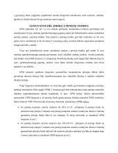 GPM lengvatų analizė 9 puslapis