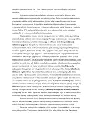 Rinkimų dėsniai ir sistemos 2 puslapis