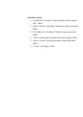 Rinkimų dėsniai ir sistemos 11 puslapis