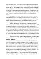 Rinkimų dėsniai ir sistemos 3 puslapis