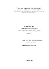 Rinkimų dėsniai ir sistemos 8 puslapis