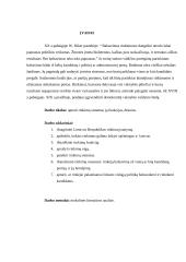 Rinkimų dėsniai ir sistemos 9 puslapis