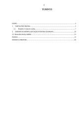 Eksporto ir importo analizė 2 puslapis