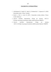 Eksporto ir importo analizė 19 puslapis