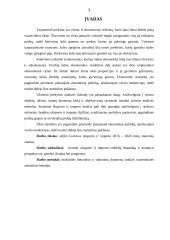 Eksporto ir importo analizė 3 puslapis