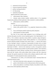 Eksporto ir importo analizė 5 puslapis