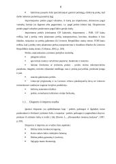 Eksporto ir importo analizė 6 puslapis