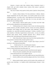 Eksporto ir importo analizė 7 puslapis