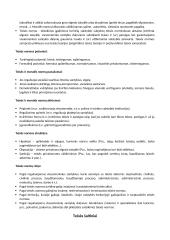 Teisės kolio teorija 4 puslapis