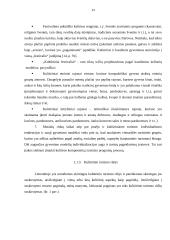 Kultūrinio ir edukacinio turizmo plėtra Vilniaus mieste 13 puslapis