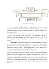 Kultūrinio ir edukacinio turizmo plėtra Vilniaus mieste 14 puslapis