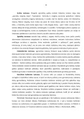 Kultūrinio ir edukacinio turizmo plėtra Vilniaus mieste 15 puslapis