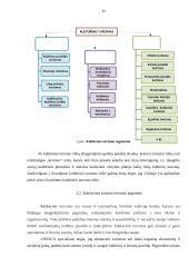 Kultūrinio ir edukacinio turizmo plėtra Vilniaus mieste 16 puslapis
