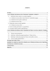 Kultūrinio ir edukacinio turizmo plėtra Vilniaus mieste 3 puslapis