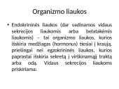 Liaukos išskiria hormonus 2 puslapis