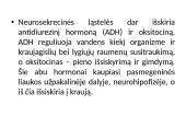 Liaukos išskiria hormonus 11 puslapis