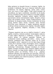 Rūgštys ir jų junginiai 2 puslapis