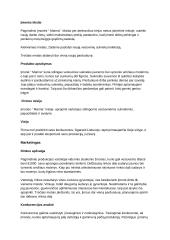 Vestuvinių suknelių salono "Marina" verslo planas 2 puslapis