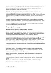 Vestuvinių suknelių salono "Marina" verslo planas 4 puslapis