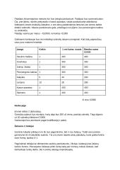 Vestuvinių suknelių salono "Marina" verslo planas 5 puslapis