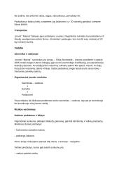 Vestuvinių suknelių salono "Marina" verslo planas 6 puslapis