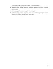 Rūkytų mėsos gaminių gamybos verslo organizavimo proceso projektavimas: UAB "Mėsinukas" 4 puslapis