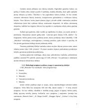 Rūkytų mėsos gaminių gamybos verslo organizavimo proceso projektavimas: UAB "Mėsinukas" 7 puslapis