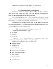 Rūkytų mėsos gaminių gamybos verslo organizavimo proceso projektavimas: UAB "Mėsinukas" 8 puslapis
