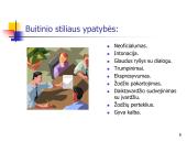 IT panaudojimas lietuvių  kalbos pamokoje 8 puslapis