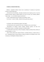 S. Parulskis "Trys sekundės dangaus" 4 puslapis