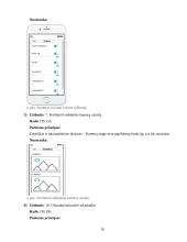 Maketų euristinis vertinimas 15 puslapis