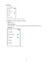Maketų euristinis vertinimas 17 puslapis