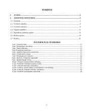 Maketų euristinis vertinimas 2 puslapis