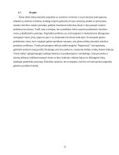 Maketų euristinis vertinimas 20 puslapis