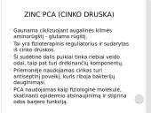 Riebios veido odos priežiūros priemonių analizė (sudėtis, veikliosios medžiagos, nauda) 11 puslapis