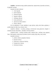 Sandėliavimo esmė ir svarba 3 puslapis