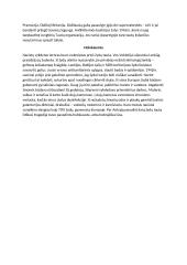 II pasaulinio karo istorija 3 puslapis