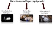 Narkotinių medžiagų poveikis  2 puslapis