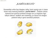Keturių kartų žaidimai 19 puslapis
