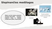 Narkotinių medžiagų žala gemalo vystymuisi 4 puslapis