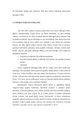 Sėkmingo vadovavimo modelis 5 puslapis
