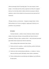 Sėkmingo vadovavimo modelis 9 puslapis